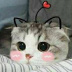 方糖棉花